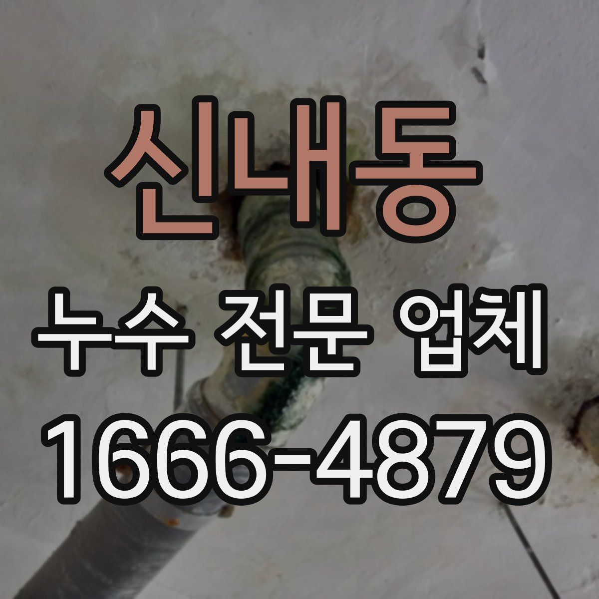 신내동 누수 전문 업체