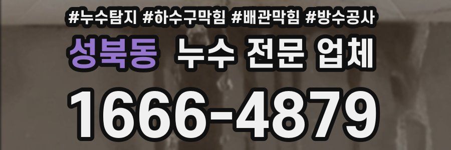 성북동 누수 전문 업체