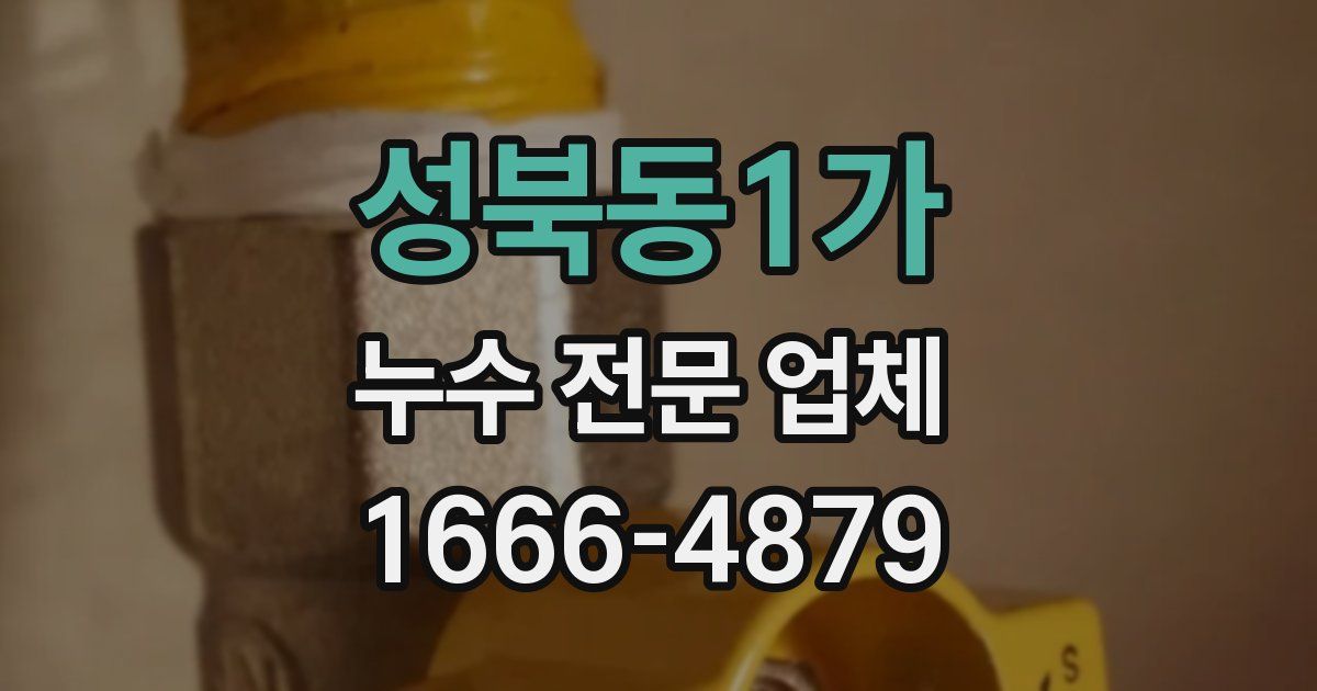 성북동1가 누수 전문 업체