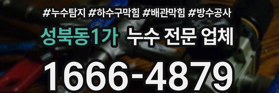 성북동1가 누수 전문 업체