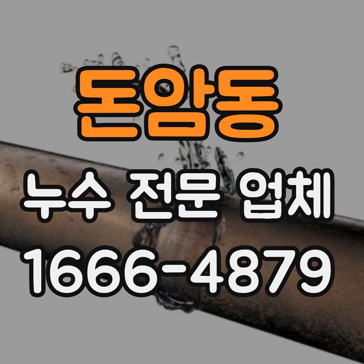 돈암동 누수 전문 업체