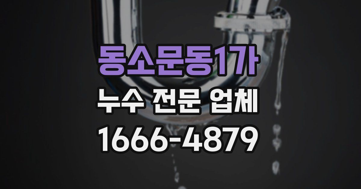 동소문동1가 누수 전문 업체