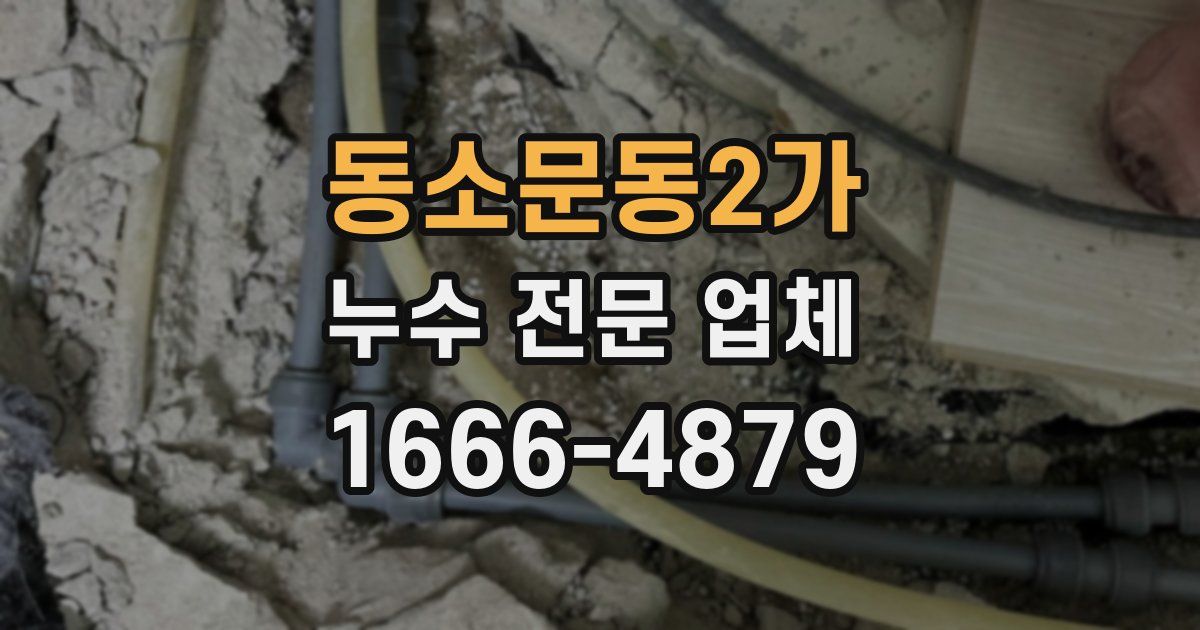 동소문동2가 누수 전문 업체