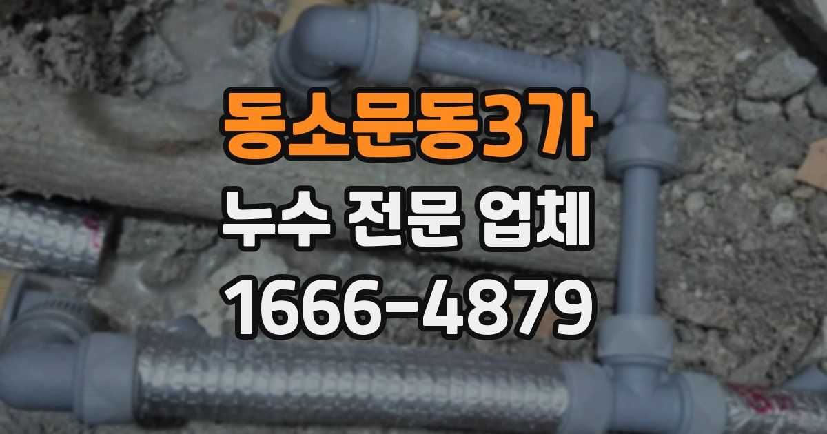 동소문동3가 누수 전문 업체