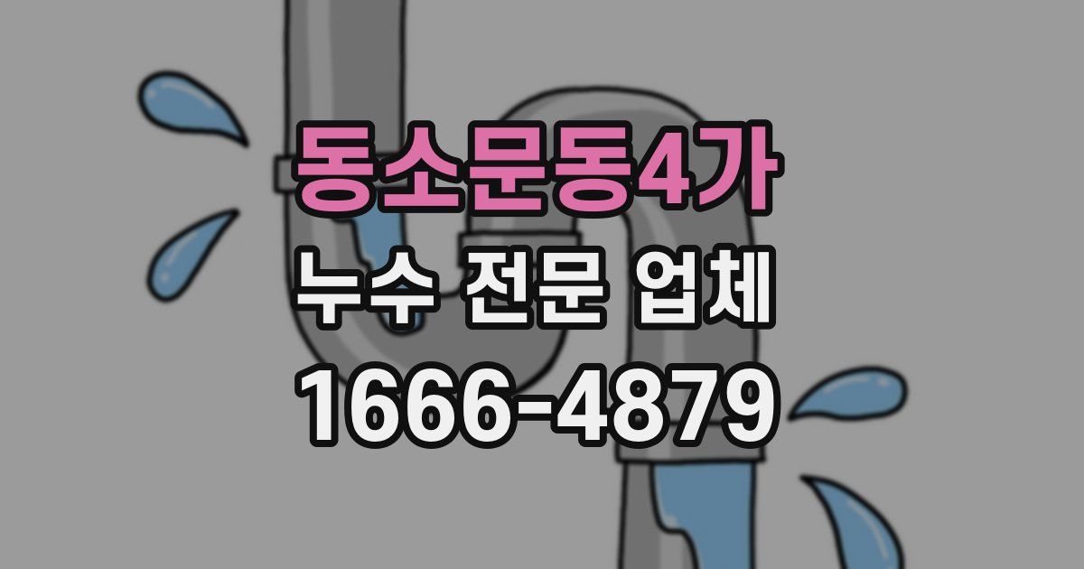 동소문동4가 누수 전문 업체