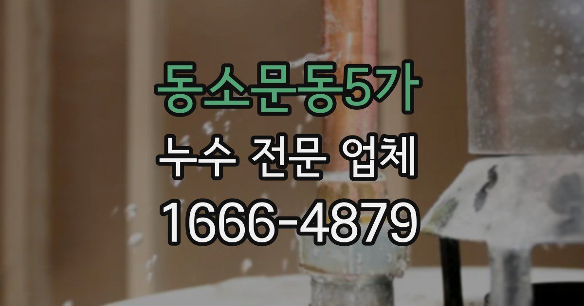 동소문동5가 누수 전문 업체