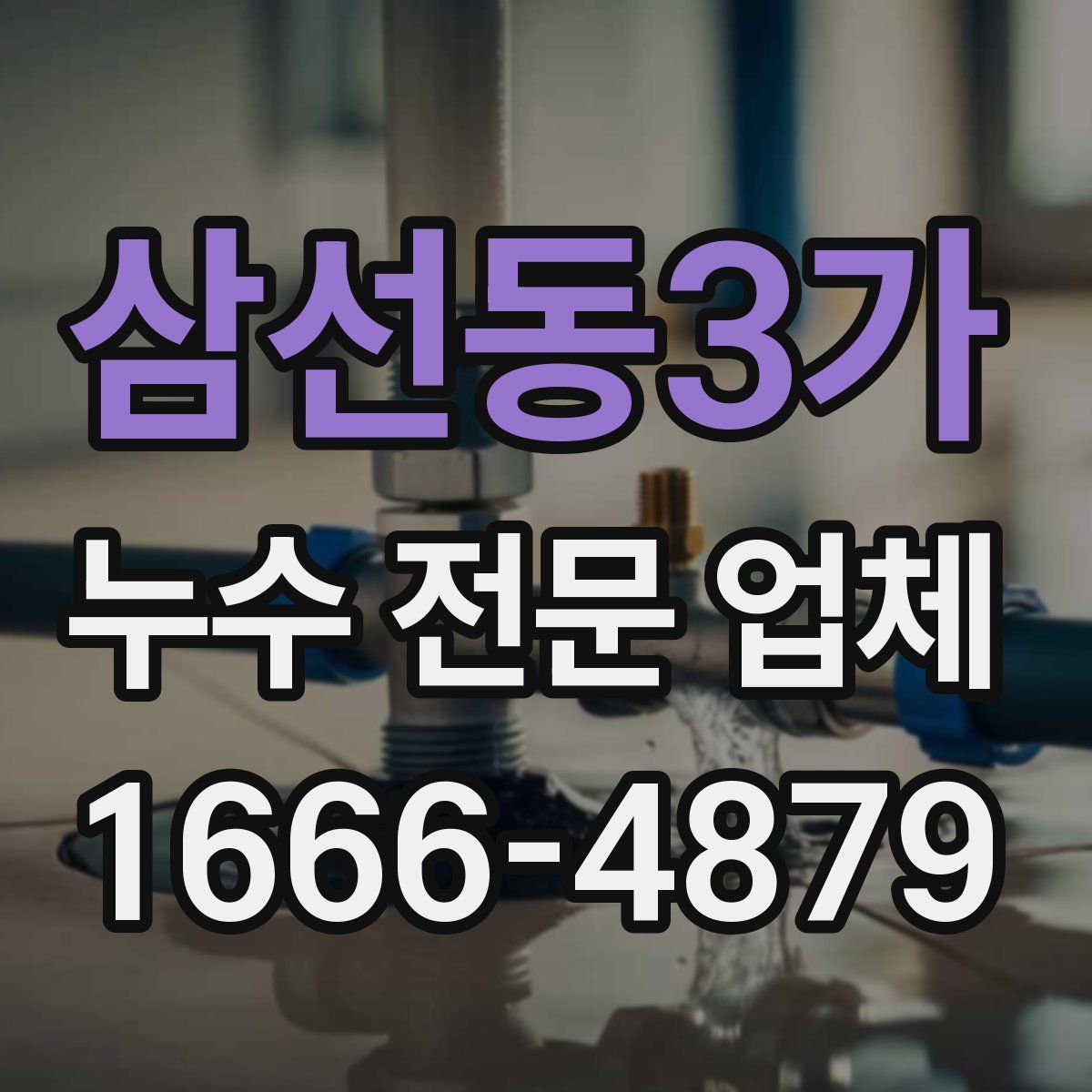 삼선동3가 누수 전문 업체