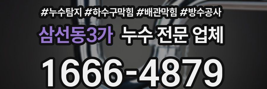 삼선동3가 누수 전문 업체