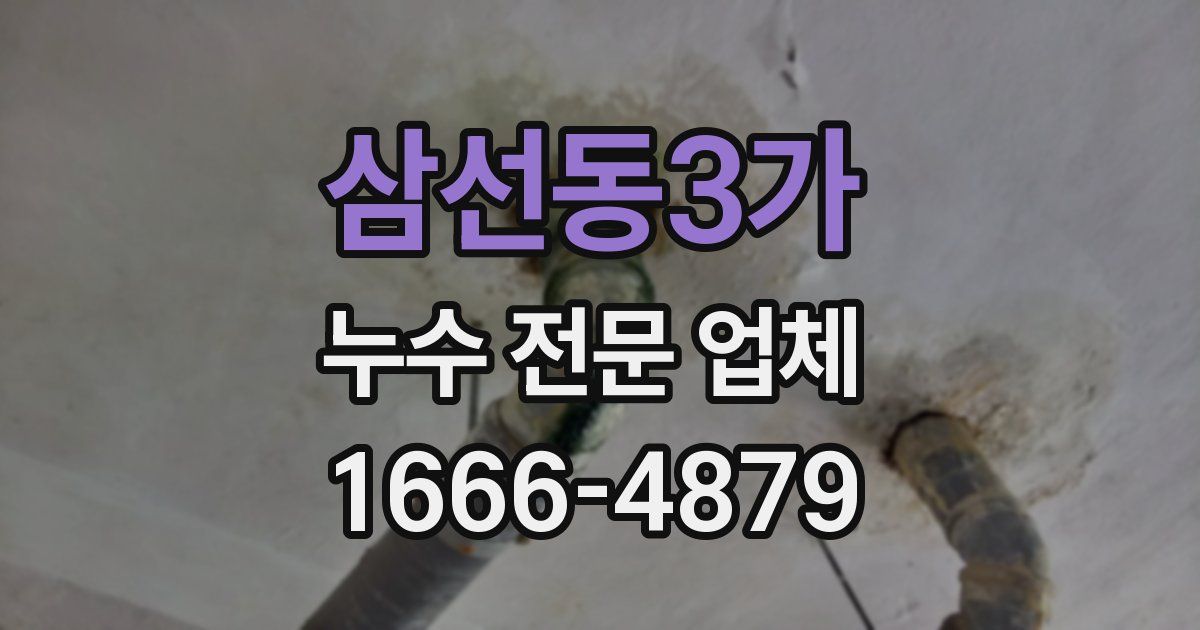 삼선동3가 누수 전문 업체