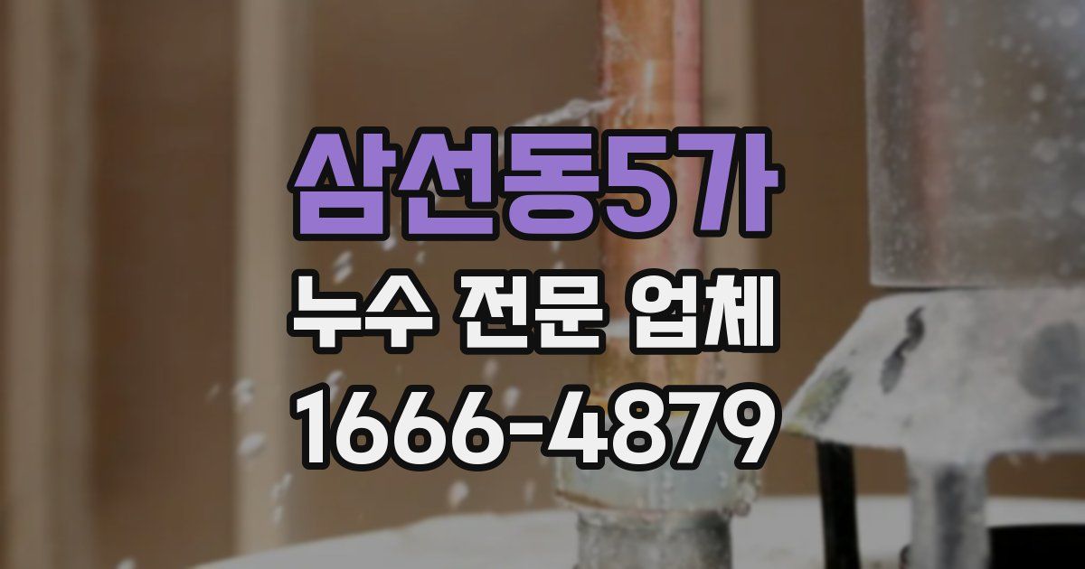 삼선동5가 누수 전문 업체