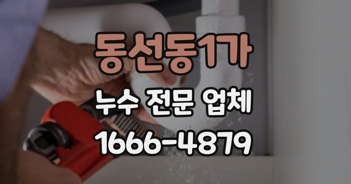 동선동1가 누수 전문 업체