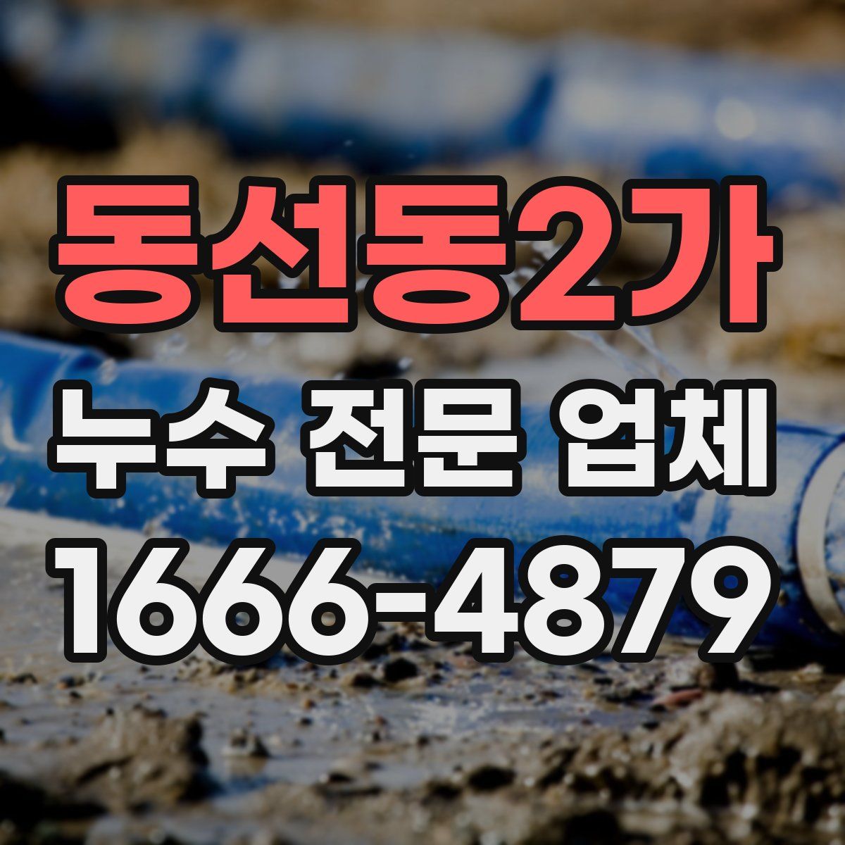 동선동2가 누수 전문 업체