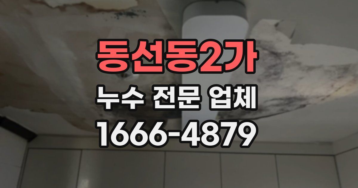 동선동2가 누수 전문 업체