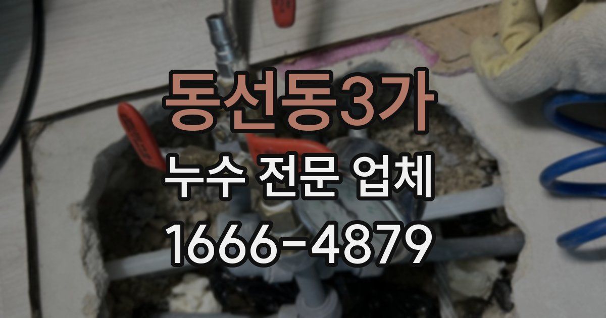 동선동3가 누수 전문 업체