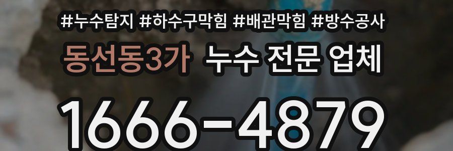 동선동3가 누수 전문 업체