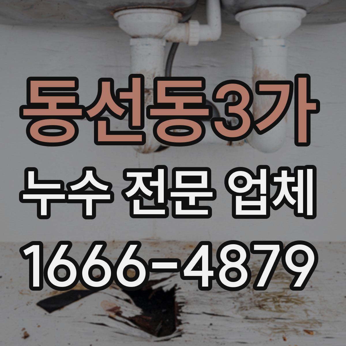 동선동3가 누수 전문 업체
