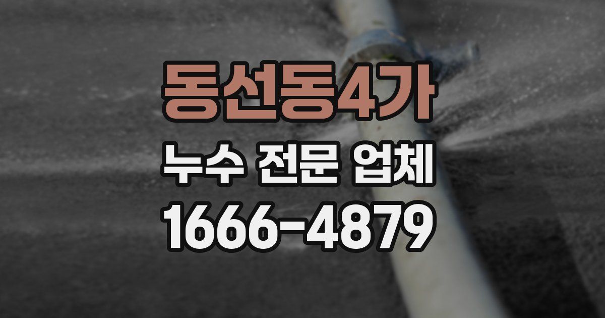동선동4가 누수 전문 업체