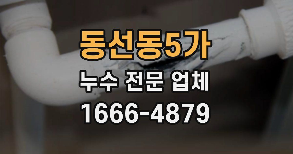 동선동5가 누수 전문 업체