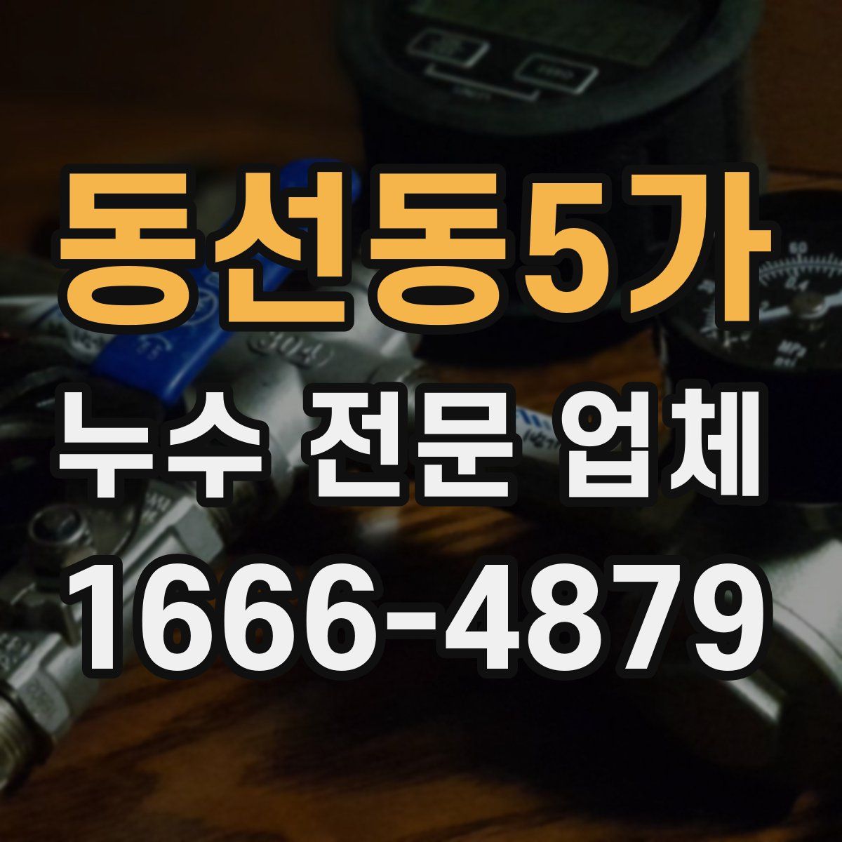 동선동5가 누수 전문 업체