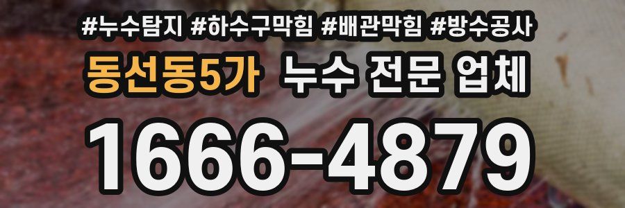 동선동5가 누수 전문 업체