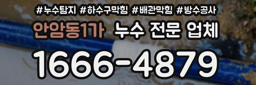 안암동1가 누수 전문 업체