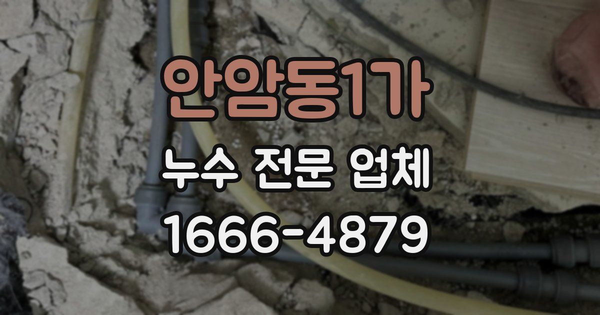 안암동1가 누수 전문 업체