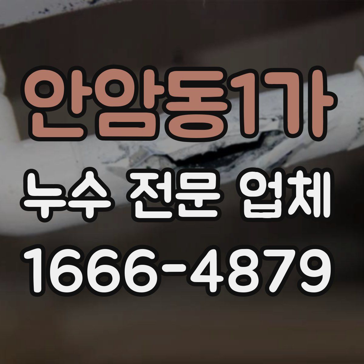 안암동1가 누수 전문 업체