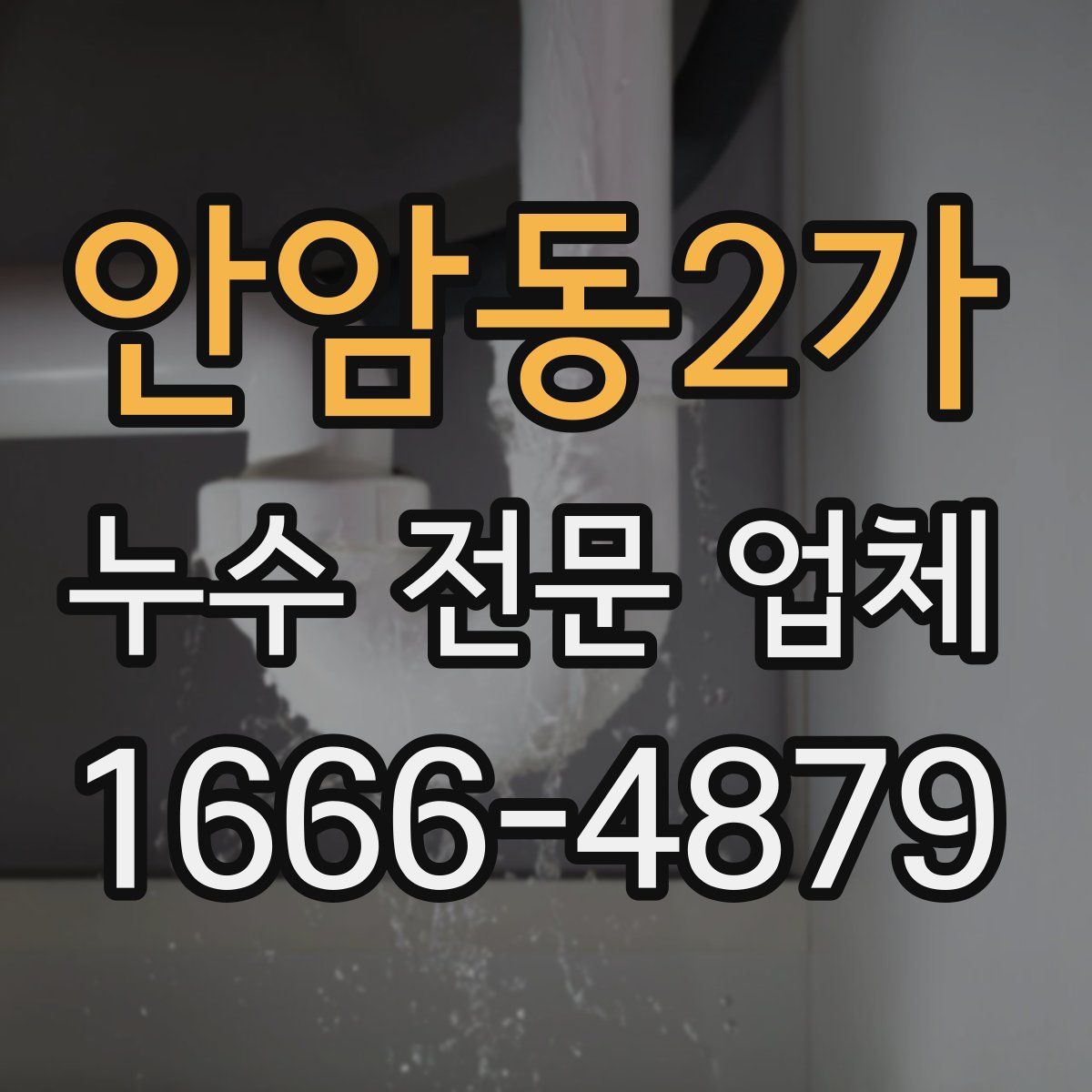 안암동2가 누수 전문 업체