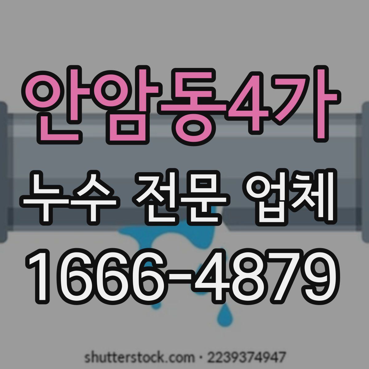 안암동4가 누수 전문 업체