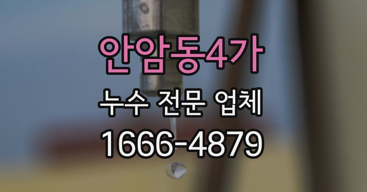 안암동4가 누수 전문 업체