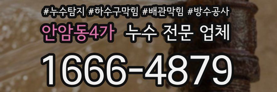 안암동4가 누수 전문 업체