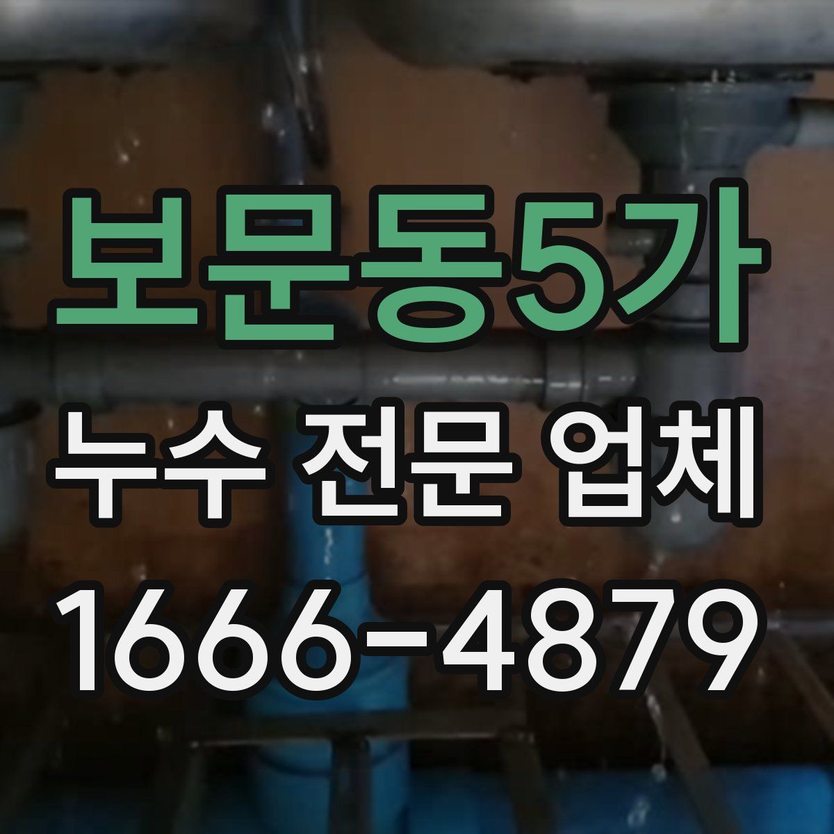 보문동5가 누수 전문 업체