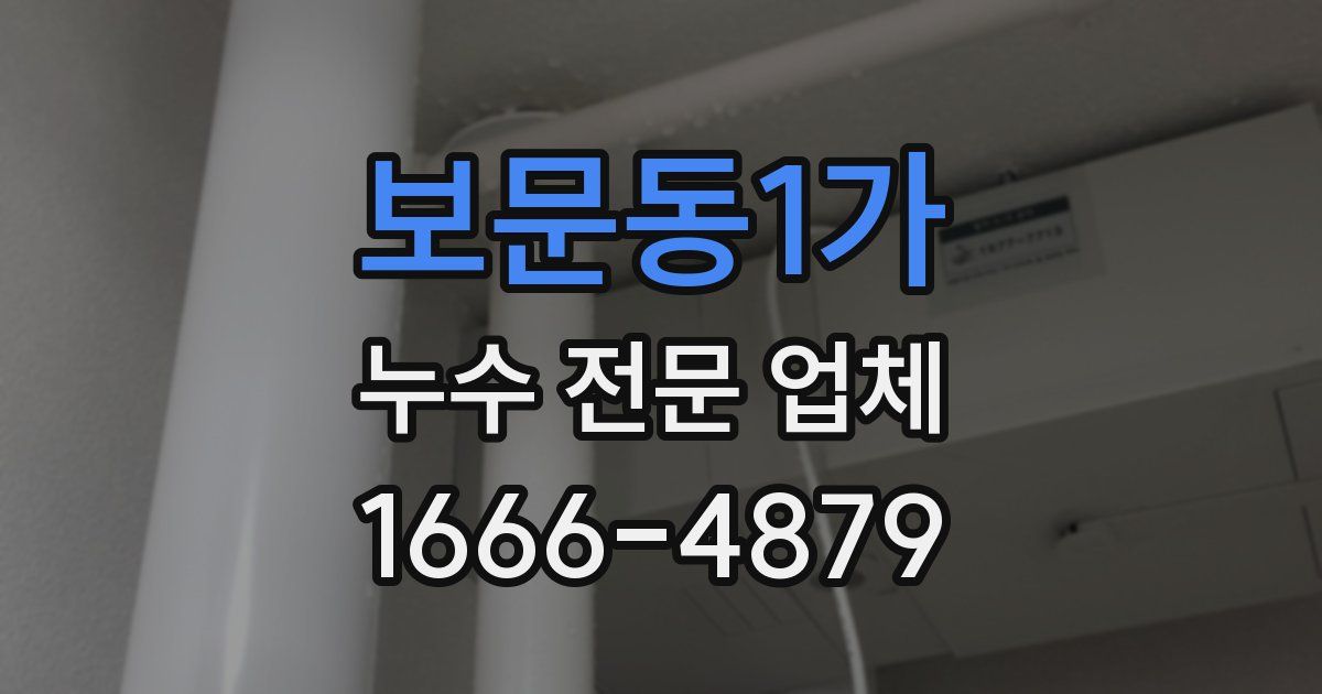 보문동1가 누수 전문 업체