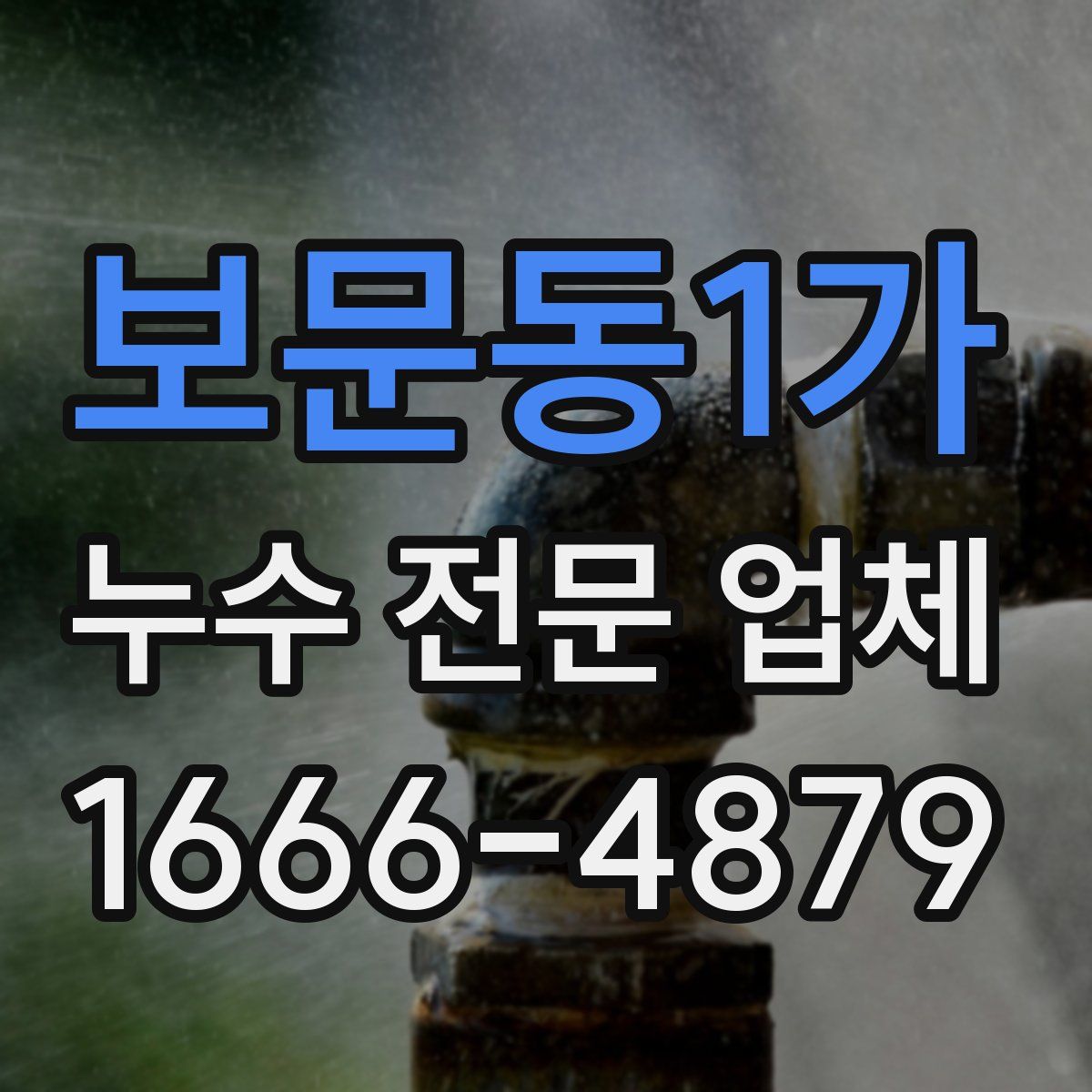 보문동1가 누수 전문 업체