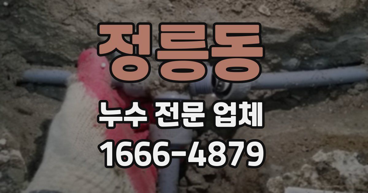 정릉동 누수 전문 업체
