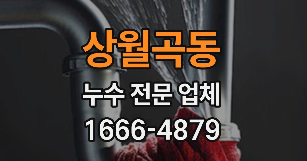 상월곡동 누수 전문 업체
