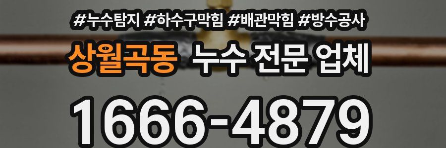 상월곡동 누수 전문 업체