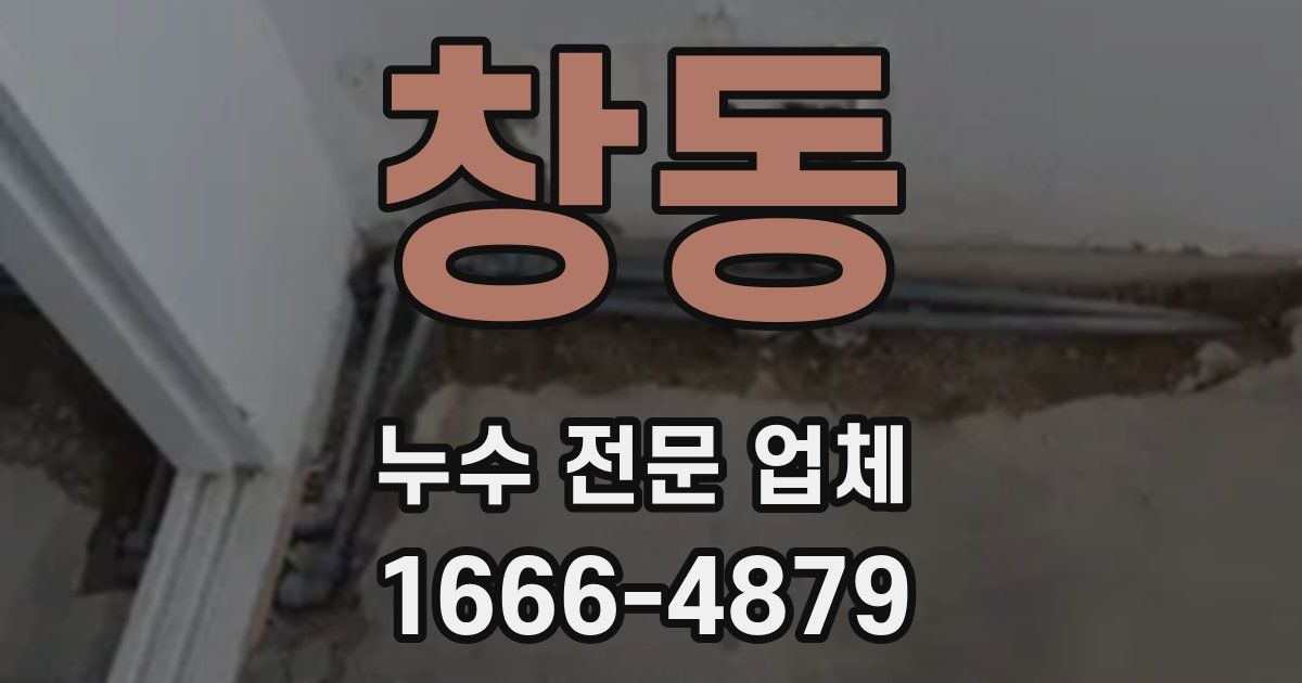 창동 누수 전문 업체