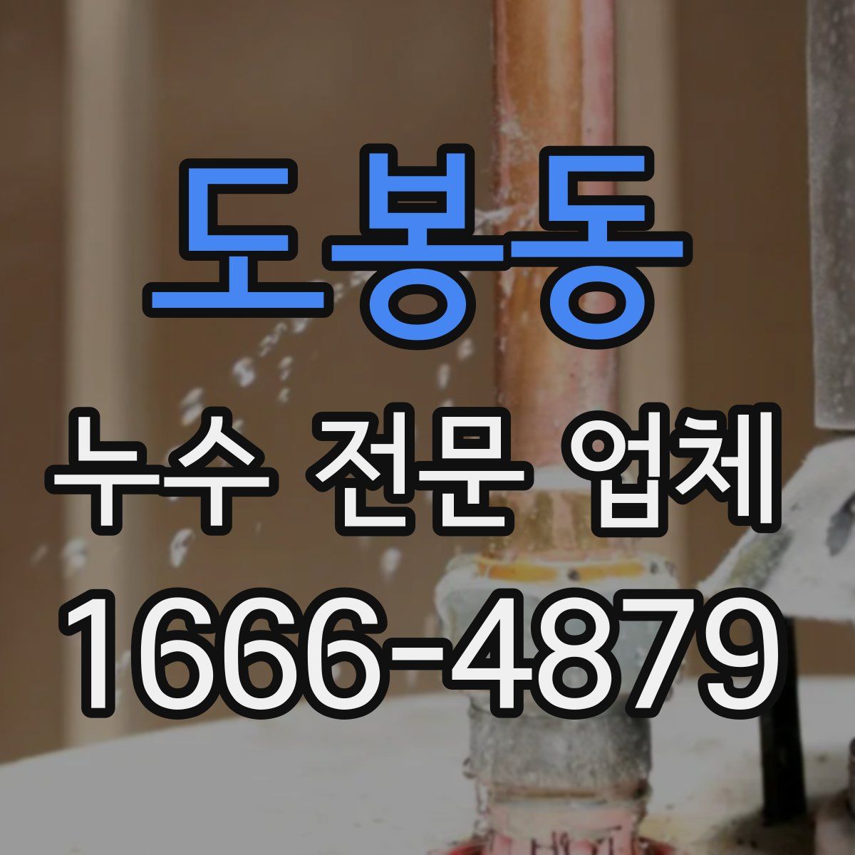 도봉동 누수 전문 업체