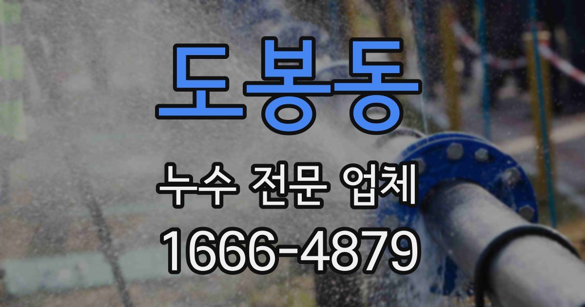 도봉동 누수 전문 업체