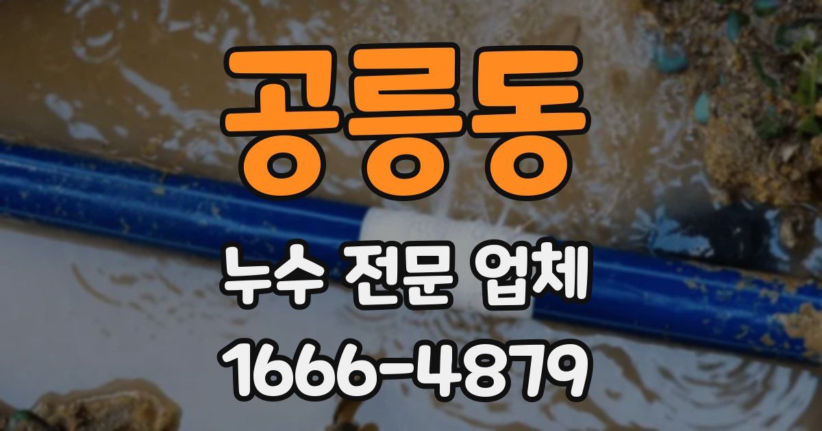 공릉동 누수 전문 업체