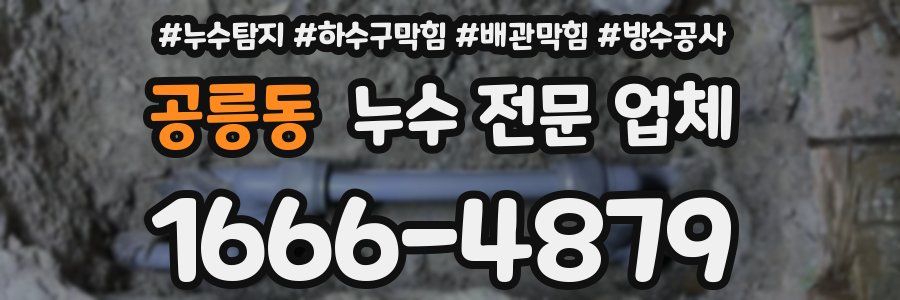 공릉동 누수 전문 업체