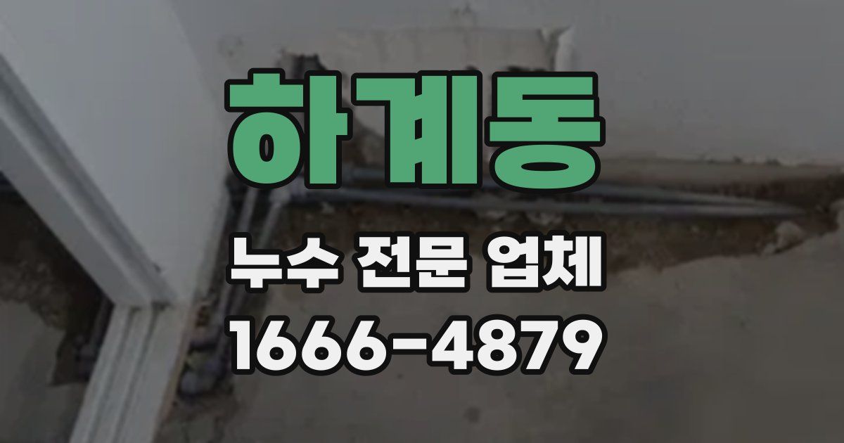 하계동 누수 전문 업체