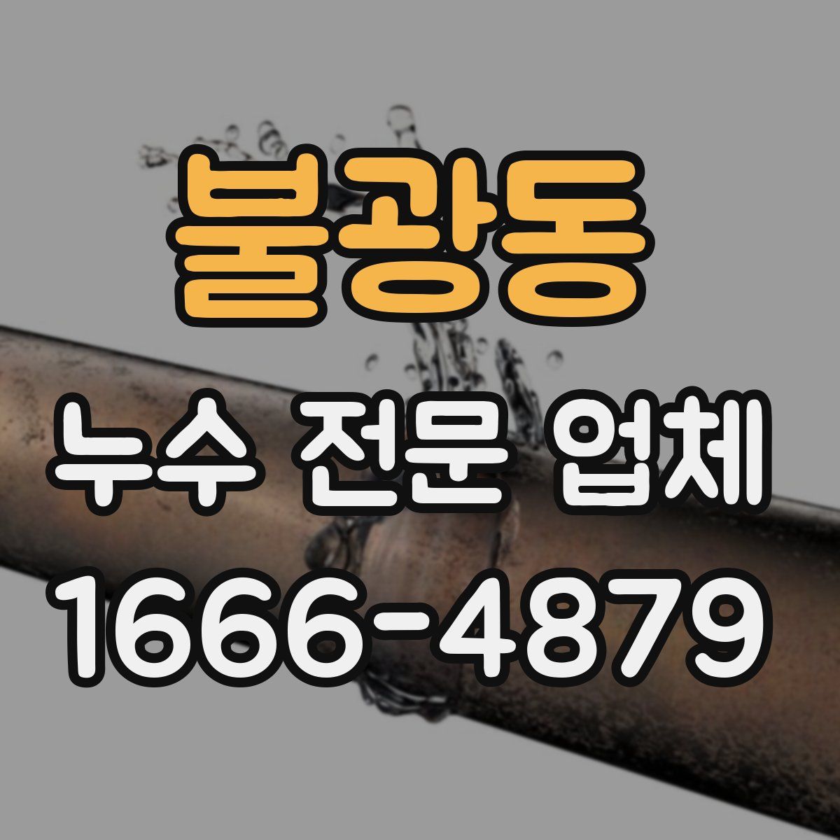 불광동 누수 전문 업체