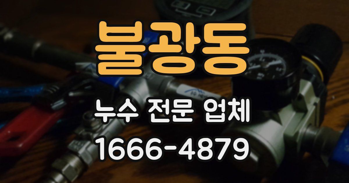 불광동 누수 전문 업체