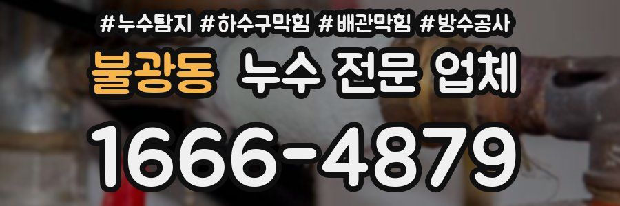 불광동 누수 전문 업체