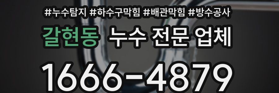 갈현동 누수 전문 업체