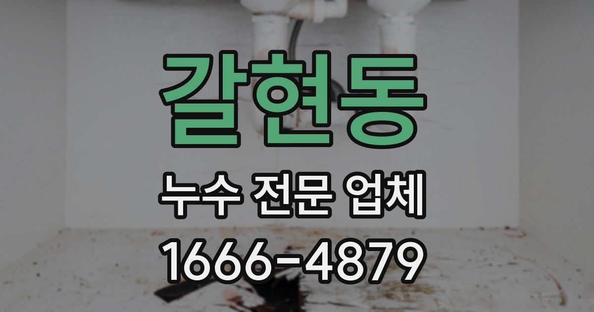 갈현동 누수 전문 업체