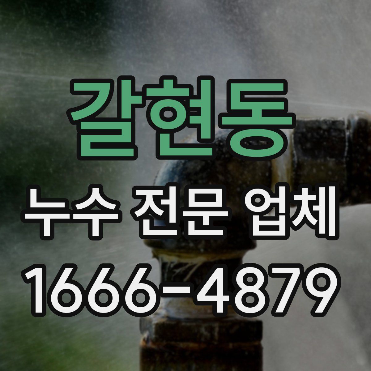갈현동 누수 전문 업체