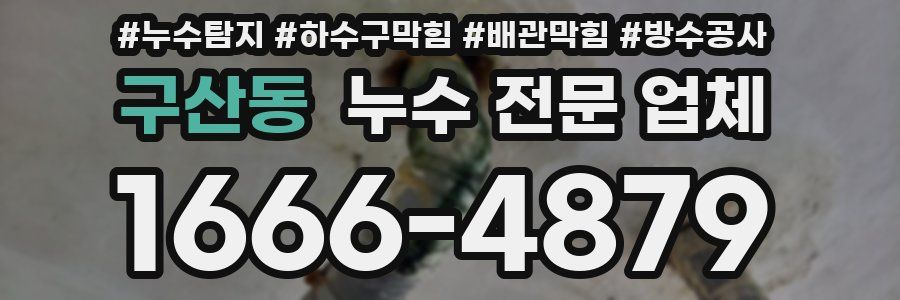 구산동 누수 전문 업체